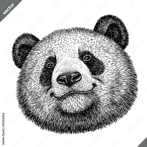 Black And White Engrave Isolated Panda Vector Illustration Stock Vector