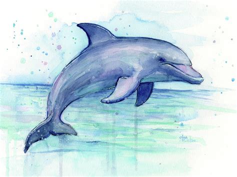 Watercolor Dolphin Painting Facing Right Painting By Olga Shvartsur