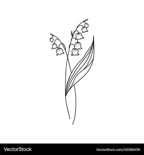 Lily Of The Valley May Birth Month Flower Vector Image