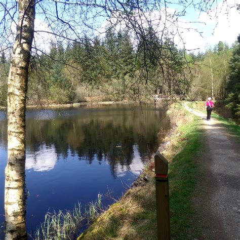 Galloway Forest Park Walks - Bruntis Loch at Kirroughtree