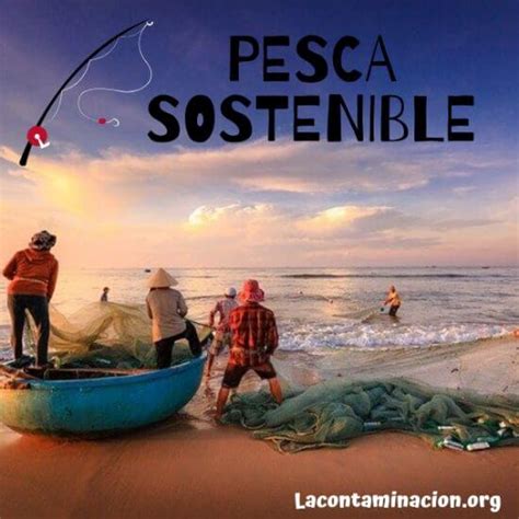 La Pesca Sostenible La Salvación De Nuestra Vida Marina Saber Más