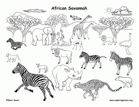 Https://techalive.net/coloring Page/african Savanna Animals Coloring Pages