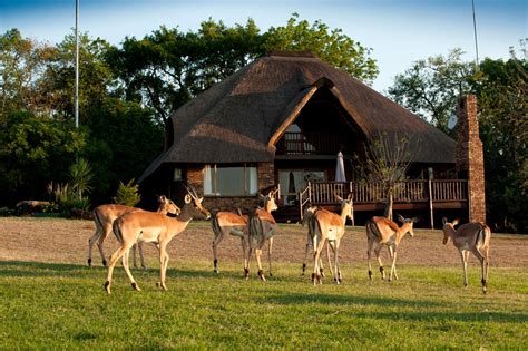 Kruger Park Lodge Sabi Sands Safari Kruger Park Accommodation