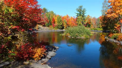 Fall On The Oxtongue River Ontario Canada Dorset Ontario Algonquin