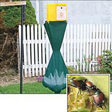 Japanese Beetle Trap Gardens Alive