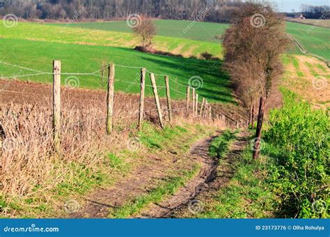 Rural Path Through The Fields Stock Photo Image Of Village Meadow