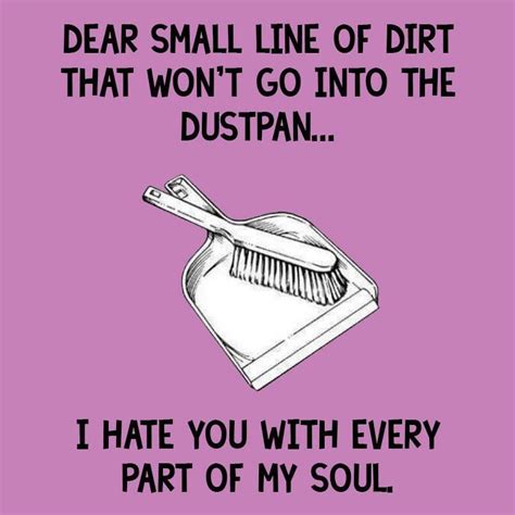Cleaning Humor Cleaning Quotes Funny Funny Quotes Funny Memes