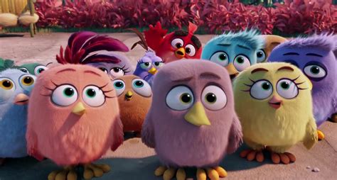 Angry Birds Series Lands At Netflix