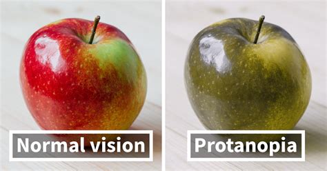 Youll Be Surprised How People With Color Blindness See The World 10
