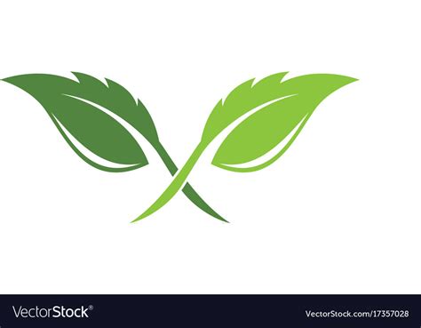 Tree Leaf Logo Design Eco Friendly Concept Vector Image