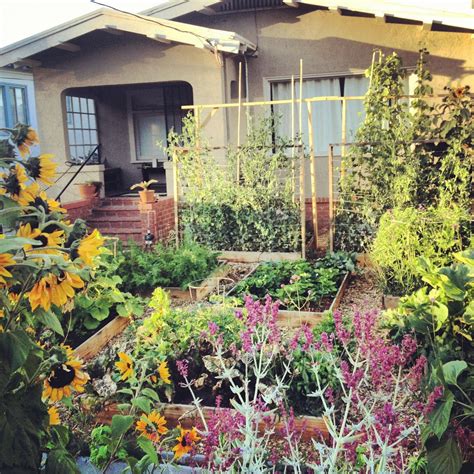 In this rather brief video i show you the basics of creating a garden out of an existing lawn. Couple Turn A Worthless Front Lawn Into An Amazing Edible ...
