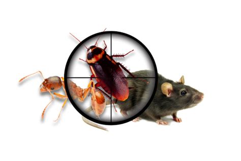 We will provide you with future pest protection. A-L-S Pest Control - Home | Facebook