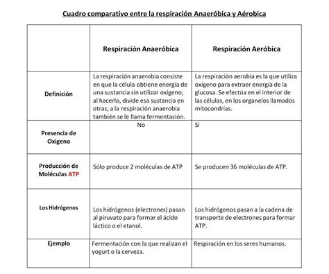 Cuadro Comparativo Entre Respiracion Aerobica Y Anaerobica Respiracion