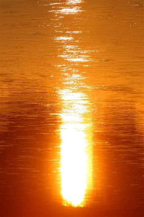 Sunlight Reflection On Water Stock Photo Image Of Shine Nature 46148154