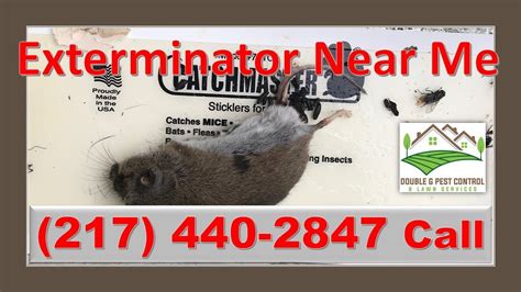 There comes a time when you are exhausted from ants invading your kitchen, moles destroy your lawn or rodents chewing your house apart. Exterminator Near Me Hannibal Missouri - YouTube