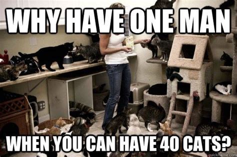 20 Hilarious Cat Lady Memes You Would Totally Love I Can Has