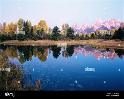 Grand Teton Reflecting In A Beaver Pond Stock Photo Alamy