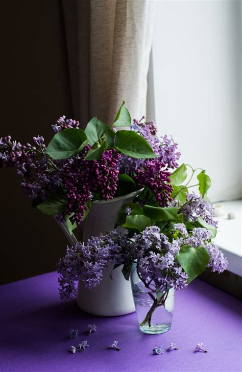 Download high quality flower pictures for your mobile, desktop or website. Violet flowers decoration in room Stock Photo - Flowers ...