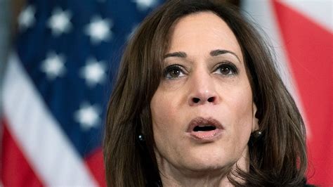 Americans Grade Kamala Harris Performance As Border Czar Fox News