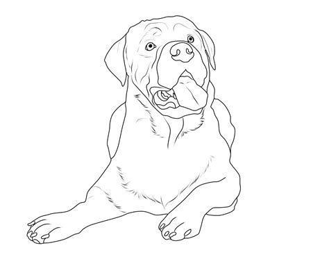 April 2020 tier keine kommentare. Hunde Bilder Zum Nachmalen - Vorlagen zum Ausmalen gratis ...