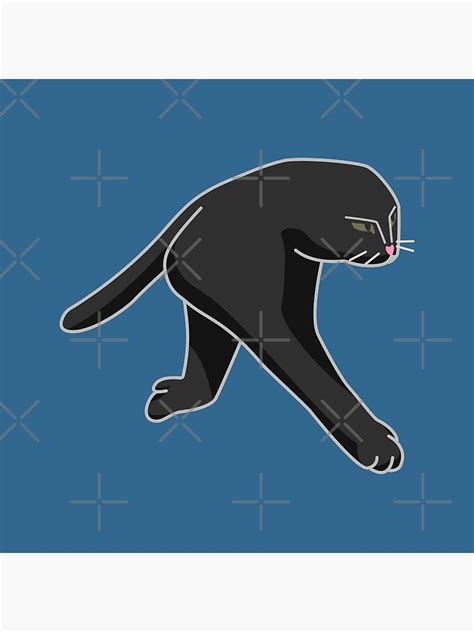 Black Half Cat Panorama Fail Cat Singko Peso Cat Meme Poster For