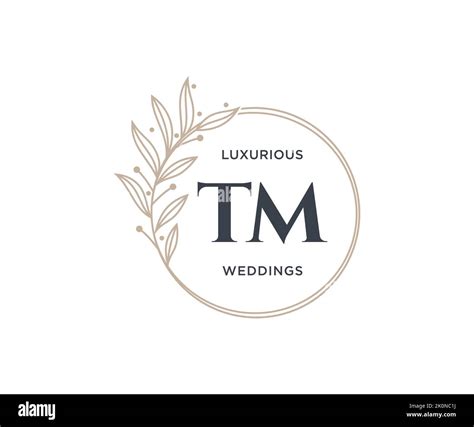 TM Initials Letter Wedding Monogram Logos Template Hand Drawn Modern