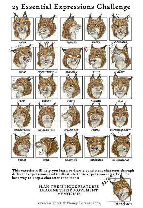 25 Essential Expressions Blue Art Central Canine Drawing Cute