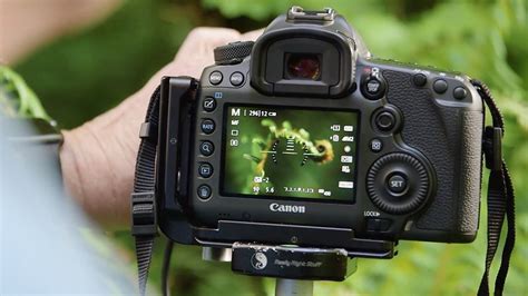 5 Best Cameras For High Res Macro Photography Bandh Explora