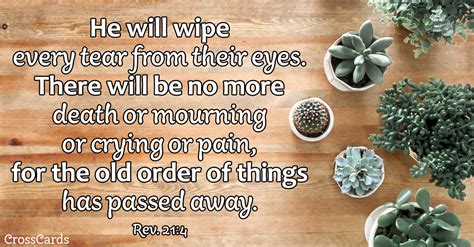 Your Daily Verse Revelation 214