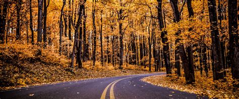 Shenandoah National Park Wallpapers 4k Hd Shenandoah National Park