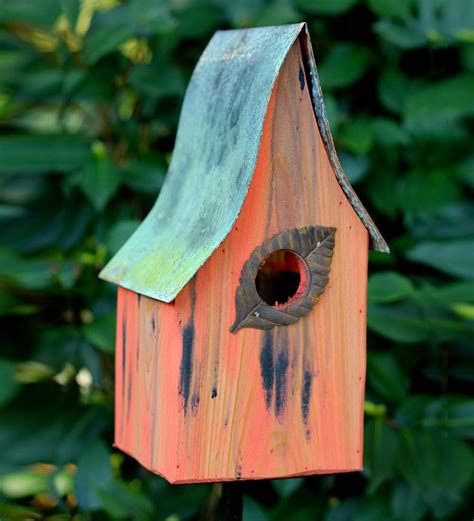 Shady Shed Cypress Birdhouse Birdhouses Bird House Bird Houses