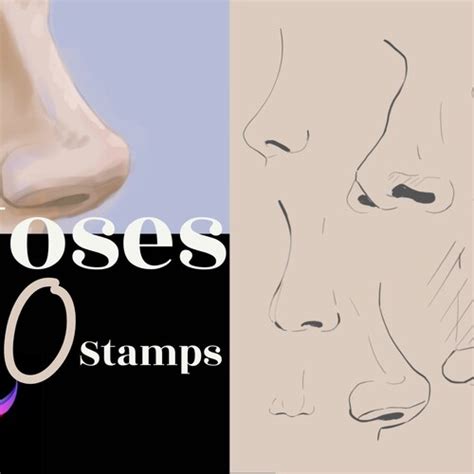 procreate noses stamp brushes procreate nose stamps etsy