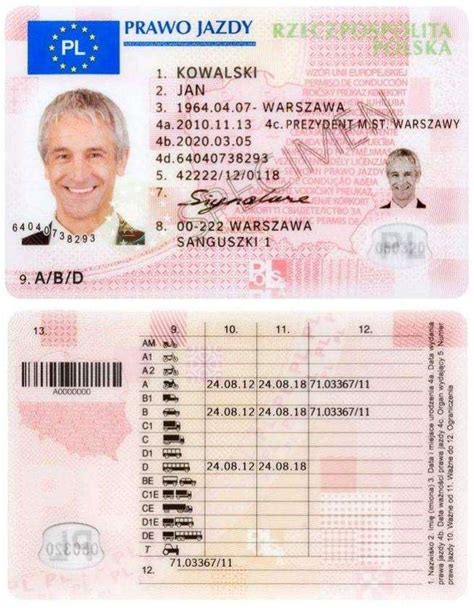 How To Renew A Dutch Driving License In The Netherlands Or Abroad