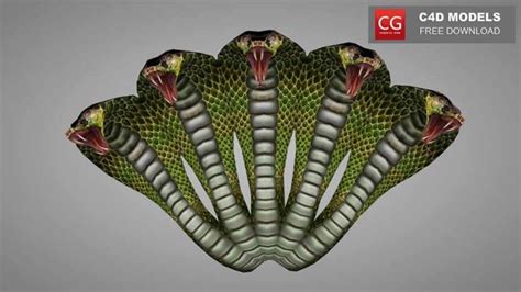Five Head Cobra Snake