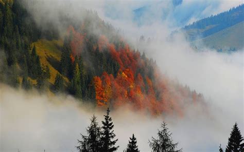 Hd Autumn Fog Wallpaper Download Free 87396 Beautiful Photos Of