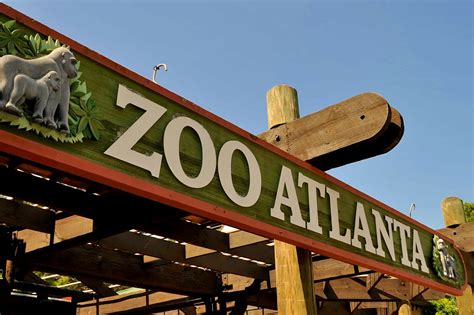 Spend A Day Exploring The Atlanta Zoo Atlanta Luxury Rentals
