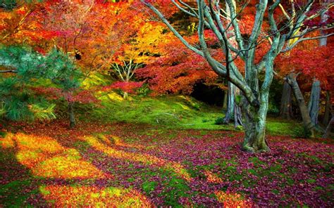 Colorful Nature Wallpapers Wallpaper Cave