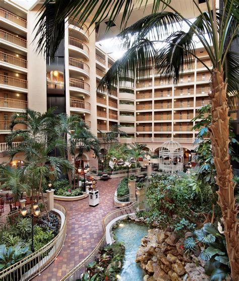 Embassy Suites By Hilton Orlando Intl Drive Convention Ctr Orlando