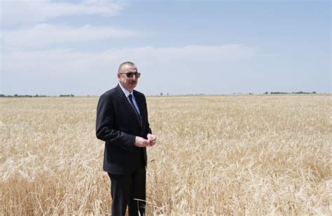 Azerbaijani President Attends Ceremony To Start Grain Harvest In