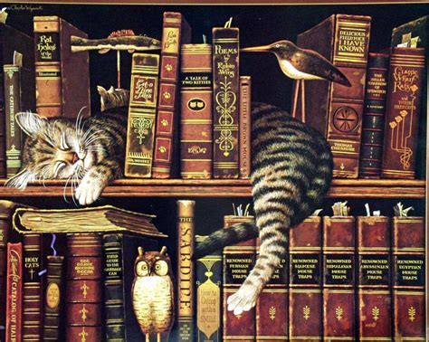 Cats Library Books Owls 1712x1368 Wallpaper Animals Cats Hd Desktop
