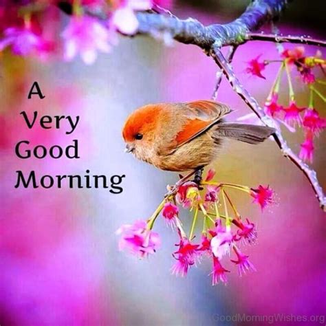 This is fairly simple, this is used when you want to wish a group of people a good morning. 25 Spring Good Morning Wishes