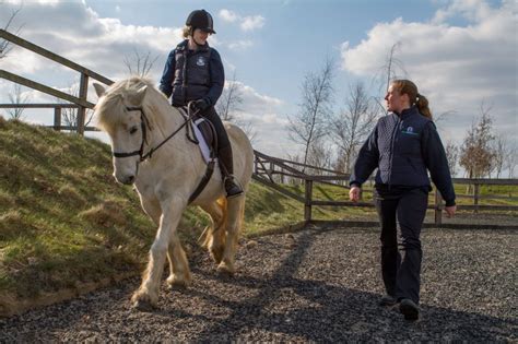 Research To Reveal Welfare Priorities Of Equines The Gaitpost