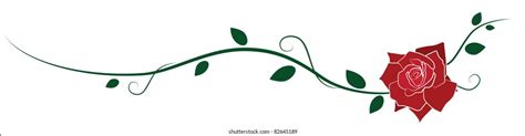 Rose Vine Images Stock Photos And Vectors Shutterstock