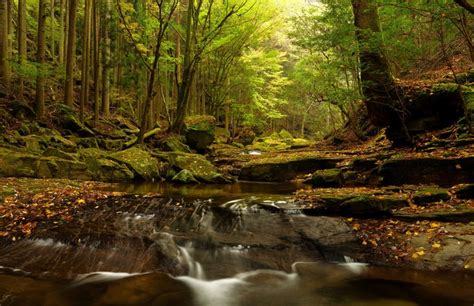 838658 4k 5k Forests Waterfalls Stones Autumn Foliage Moss