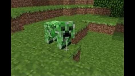 Cursed Minecraft Pig