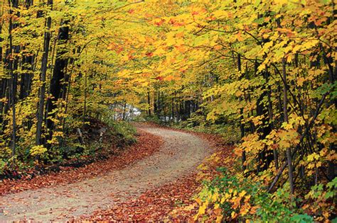 Autumn Leaves Tour The Best Fall Foliage Tours In America Wanderwisdom
