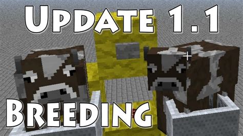Docm77´s Minecraft Tutorial Breeding Update 11 Youtube