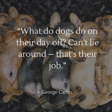 Dog Quotes — We Rounded Up The Best Of The Best