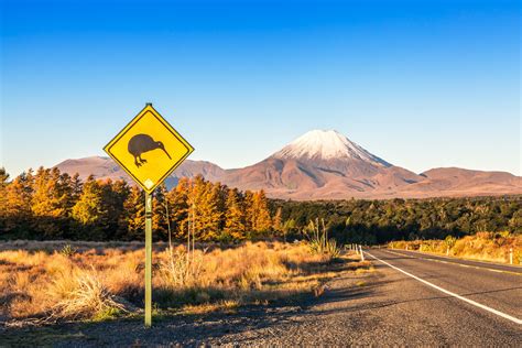 The Top 10 Things To Do In New Zealand