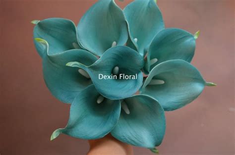 Check spelling or type a new query. NEW! Natural Real Touch Teal Blue Calla Lily Stems For ...